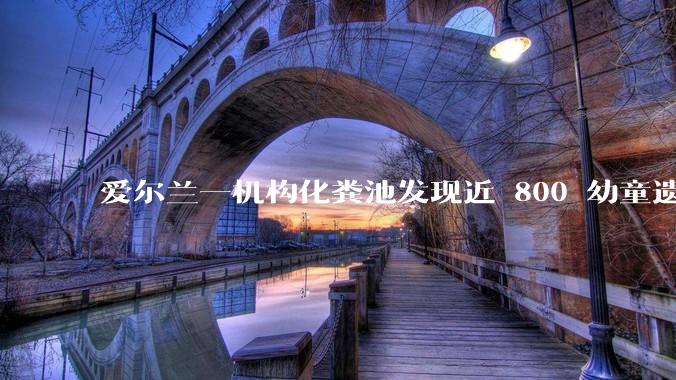 爱尔兰一机构化粪池发现近 800 幼童遗骨，具体是怎么回事？