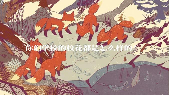 你们学校的校花都是怎么样的？