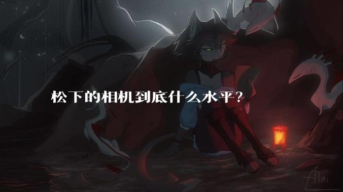 松下的相机到底什么水平？