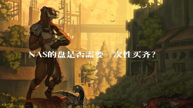 NAS的盘是否需要一次性买齐？