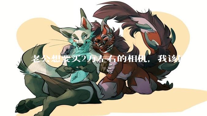 老公想要买2万左右的相机，我该同意吗？