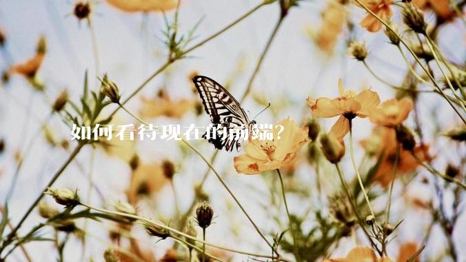 如何看待现在的前端？