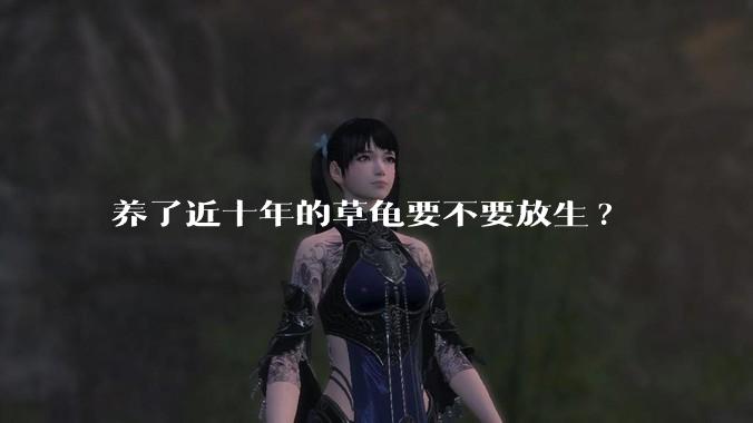 养了近十年的草龟要不要放生?