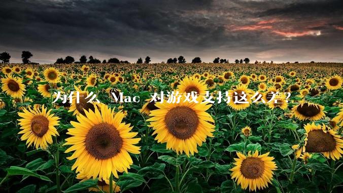 为什么 Mac 对游戏支持这么差？