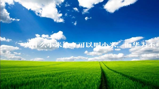 为什么小米造车可以叫小米，而华为不可以用华为品牌造车？