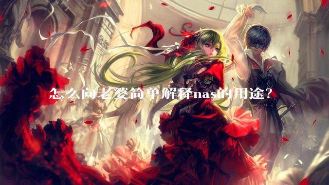 怎么向老婆简单解释nas的用途？