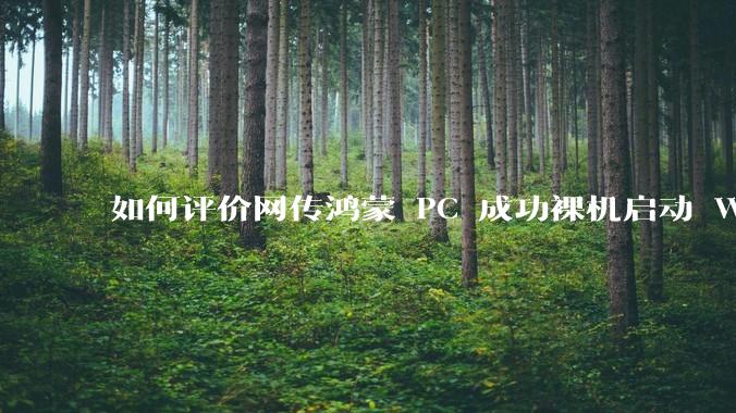 如何评价网传鸿蒙 PC 成功裸机启动 Windows ARM？