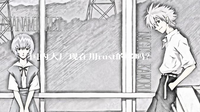 国内大厂现在用rust的多吗？